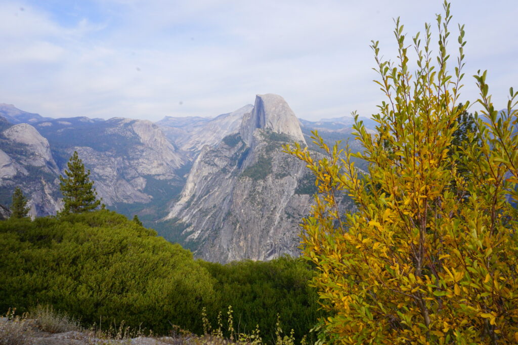 Cosa vedere allo Yosemite National Park